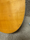 Seagull Artist Series Rosewood Spruce