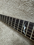 Seagull Artist Series Rosewood Spruce