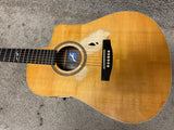 Seagull Artist Series Rosewood Spruce