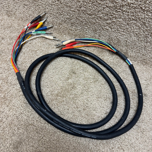 Hosa Snake 8 Channel 8 Mono to 4 Stereo 8'