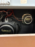 Roland Acoustic Chorus 100 Amp