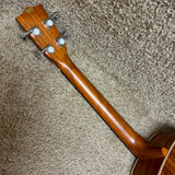 Kala KA-BE Mahogany Electric Baritone Ukulele