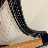 Salvi Prima 38 Lever Harp w/ Rolling Travel Bag