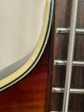 Rogue VB-100 Violin Bass