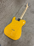 Fender American Professional Telecaster 2019 Butterscotch Blonde w/ HSC