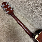 Takamine EG-332C Cutaway