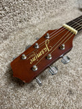 Takamine Jasmine S-34C Cutaway