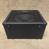 Raven RG20 Electric Guitar Amp