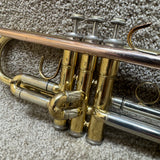 Wisemann DTR-250 Trumpet w/ Case & Mouthpiece