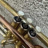 Wisemann DTR-250 Trumpet w/ Case & Mouthpiece