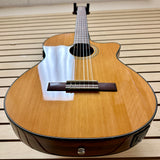 Fender CN-140SCE Nylon Thinline with Hardshell Case