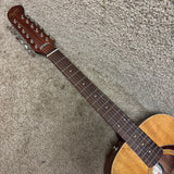 Fender Villager 12-String Acoustic Electric Guitar W Deluxe Bag A