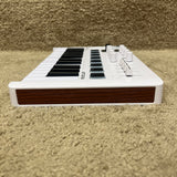 Arturia MiniLab 3 White USB Controller