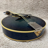 Washburn Mandolin M-ISDL TBL Transparent Blue