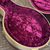 Gold Tone Deluxe Tweed Resonator Banjo Case