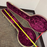 Gold Tone Deluxe Tweed Resonator Banjo Case