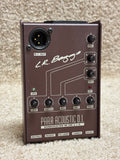 L. R. Baggs Para Acoustic D. I.