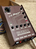 L. R. Baggs Para Acoustic D. I.