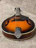 Fender FM-300 Mandolin w/ Bag