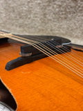 Fender FM-300 Mandolin w/ Bag