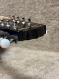 Fender FM-300 Mandolin w/ Bag