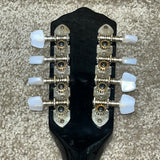 Harmony Mandolin Sunburst w/ Case