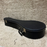 Harmony Mandolin Sunburst w/ Case
