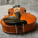 Bellafina Roma Select Viola 15.5