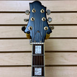 Samick Archtop Hollow Body Custom Paint Job