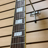 Samick Archtop Hollow Body Custom Paint Job