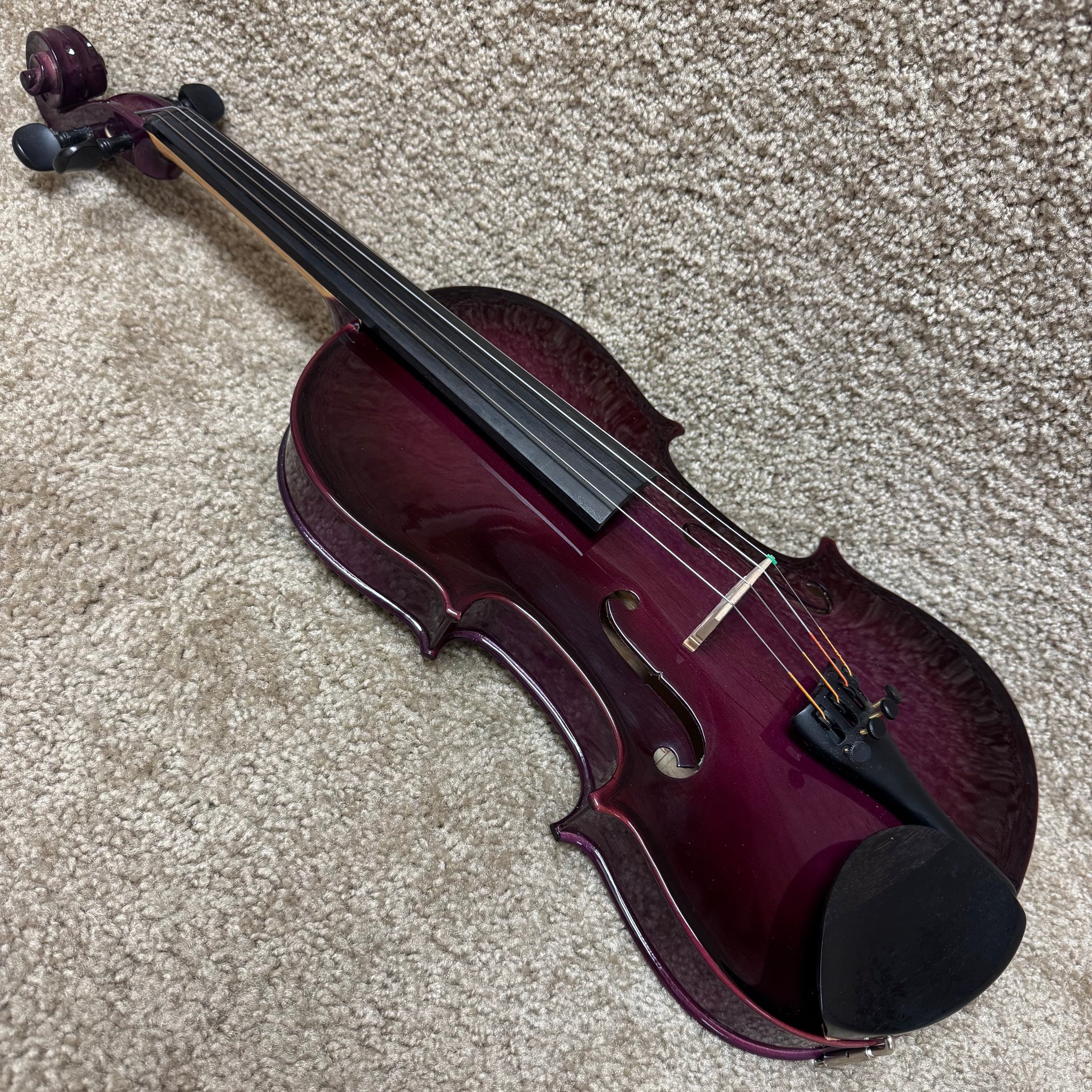 Caryn Vionaページ Ventura Violin VLN-2PUR 4/4 Purple w/ Case & Bow – Mountain