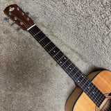 Augustino LoPrinzi MPD-200 Flame Maple 2008 w/ HSC