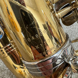 Selmer Liberty LAS-100 Alto Saxophone w/ Case & Neck Strap
