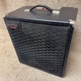 Polytone Mini-Brute IV Amp