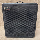Polytone Mini-Brute IV Amp