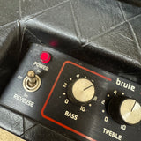 Polytone Mini-Brute IV Amp