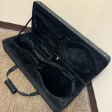 Johnson Featherweight F Style Mandolin Case