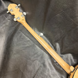 Gold Tone CC-100R Cripple Creek A Resonator Banjo