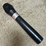 Hisonic HS-122B Wireless PA System w/ 3 Mics & Bag