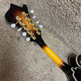 Washburn M3SWK F-Style Mandolin w/ OHSC