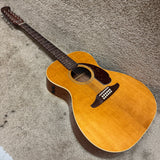 Fender Villager 12-String Acoustic Electric Guitar W Deluxe Bag B