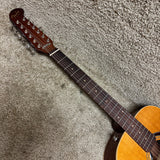 Fender Villager 12-String Acoustic Electric Guitar W Deluxe Bag B