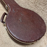 Vintage Alvarez Resonator Banjo Case