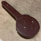 Vintage Alvarez Resonator Banjo Case