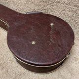 Vintage Alvarez Resonator Banjo Case