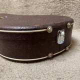 Vintage Alvarez Resonator Banjo Case