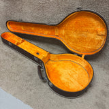 Vintage Alvarez Resonator Banjo Case