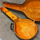 Vintage Alvarez Resonator Banjo Case