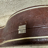 Vintage Alvarez Resonator Banjo Case