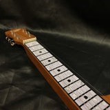 Recording King RG-31 Lap Steel P90 Natural Mahogany